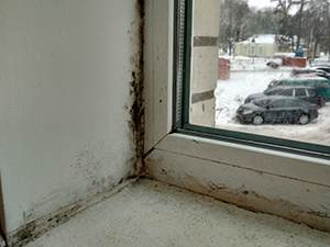 Mold Remediation in Atlanta, Decatur, Buford, Fayetteville, Johns Creek