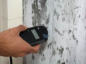 Mold in home air duct atlanta