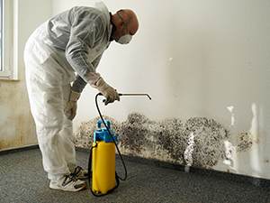 Mold Remediation in Dunwoody, Buford, Lawrenceville, Peachtree City